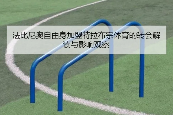 法比尼奥自由身加盟特拉布宗体育的转会解读与影响观察