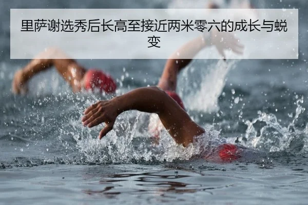 img_1791922347262_2433_0_215.jpg